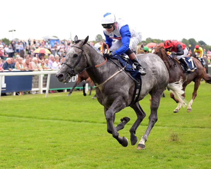 Talking Horses: Grant Wood can overturn tables in Ripon handicap