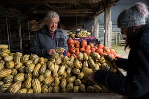 Wolfe says agroforestry farms can be more productive than monoculture.