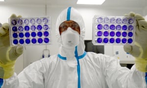 French engineer-virologist Thomas Mollet looks at 24 well plates adherent cells monolayer infected with a Sars-CoV-2 virus being used to develop a vaccine.