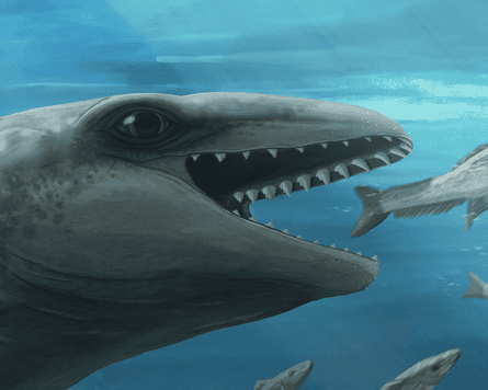 Artist's impression of a whale with big eyes and super sharp teeth about to eat a fish underwater