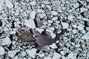 Pack ice flowed south from Labrador to blockade La Tabatière, Quebec.