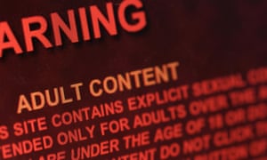 Entrance page to enter and join a pornography site of the internet