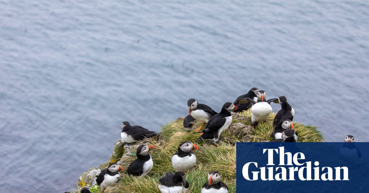 ‘A kaleidoscope of colour and life’: readers’ favourite UK spring days out