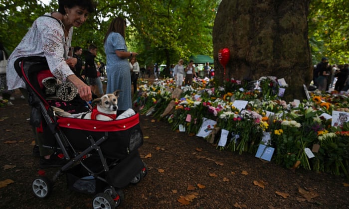 A woman pushes a dog in a stroller near floral tributes at Green Park.