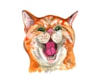 Why do cats miaow and what’s the most powerful Pokémon? The kids’ quiz