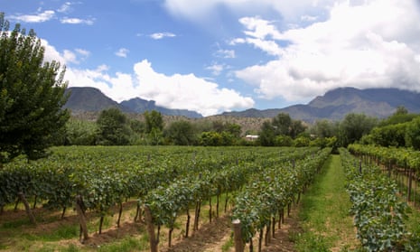Vineyards in Bolivia: try good-quality wines from lesser-known countries to get more bang for your buck.