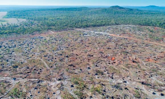 The aftermath of land clearing in Queensland in 2016