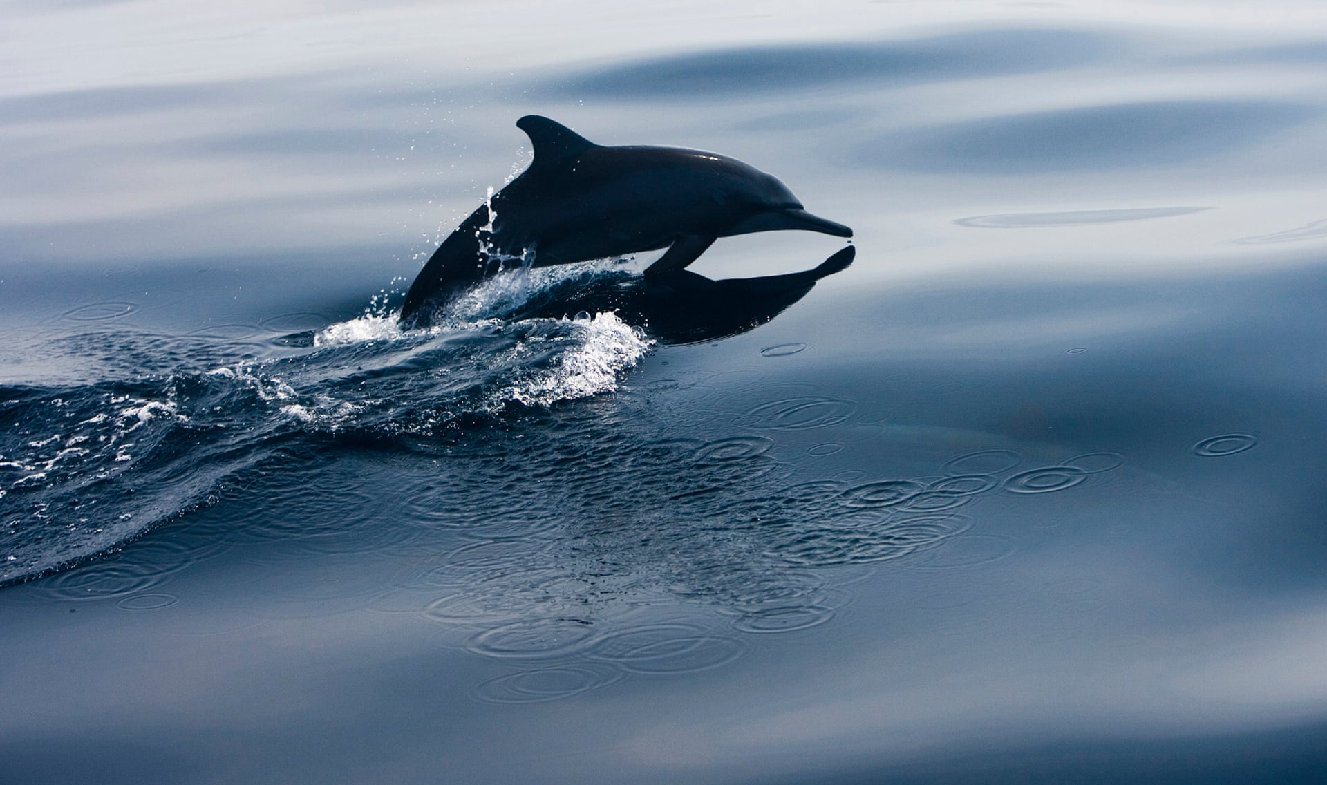 Source: Photo: Paul Hilton/Conservation International