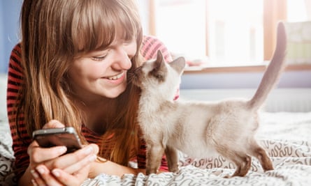 A kitten nuzzles up to a woman on a bed.