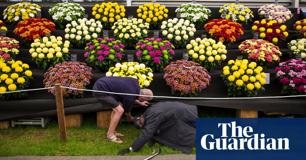 Chelsea flower show preview – in pictures | Life and style | The Guardian