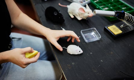 قسم الألعاب النارية