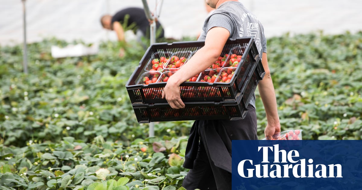 UK food exports to EU fell 19% 에 15 months after Brexit, show figures