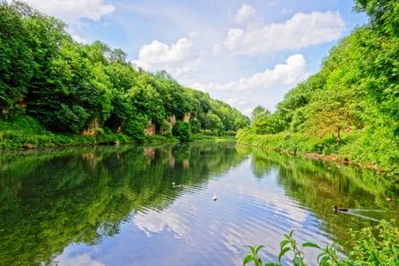 The early morning sky is reflected in a tree-lined lake