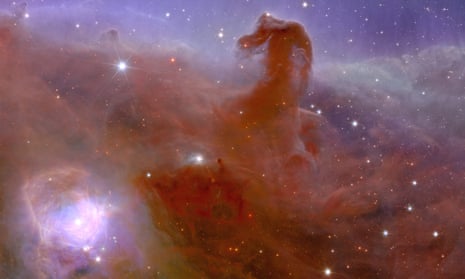 An image of the Horsehead nebula taken by the Euclid telescope.