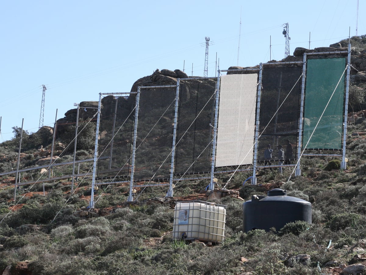 Cloud fishing' reels in precious water for villagers in rural Morocco | Global development | The Guardian