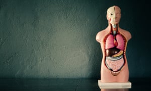 Everything You Ever Wanted To Know About Indigestion But Were Too everything you ever wanted to know