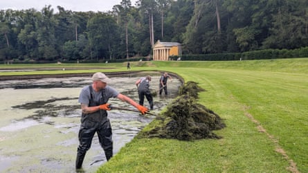 Gardeners clear algae from ponds