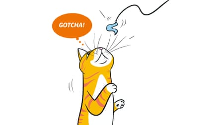 Extracted from KITTY LANGUAGE by Lili Chin