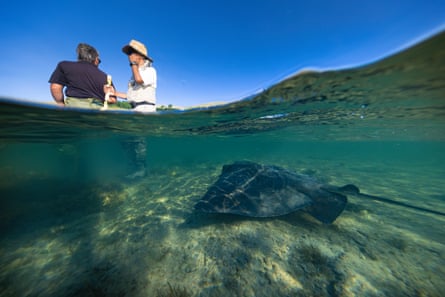 Dive Tatapouri owner Dean Savage (left), 63, with head guide Hajime “Jimmy” Kaneko, 72, stand out on the reef to call the stingrays in at Tatapouri.