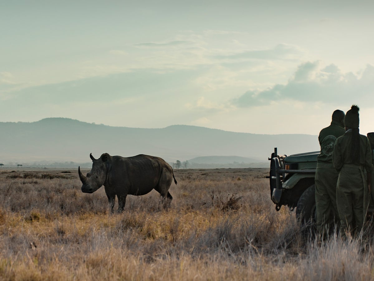 How to Deposit on Rhinocasino: A UK Player’s Practical Guide