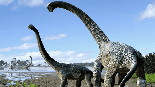 New Species Of Giant Herbivorous Dinosaur Found In Outback Australia