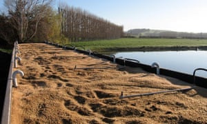 Chile-based BioFiltro has figured out how to use earthworms to clean up wastewater at wineries, dairies and food processing plants. It tailors the mixture of earthworms and bacteria to different types of wastewater and picks earthworms that are best suited for local conditions.
