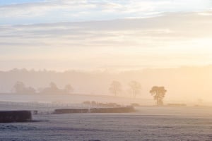 Mist and frost in Brindle, Lancashire“Early morning mist covers the frosty fields in Brindle near Chorley, Lancashire. Taken Looking towards Darwen Tower in the far distance. 23.01.2017 Photo by Anthony Farran.