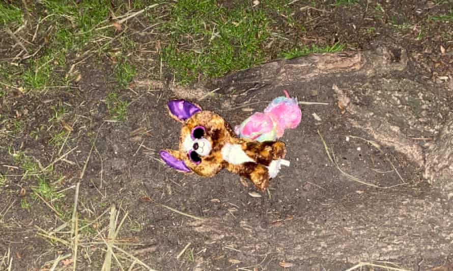 21 val. ekspedicija gelbėti dingusią Mieląją.