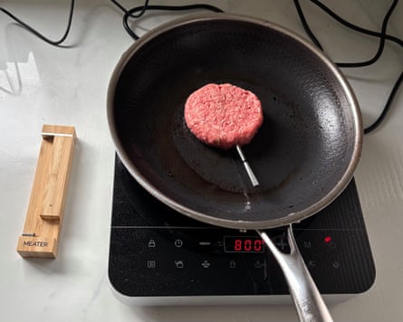 Meater Pro thermometer.