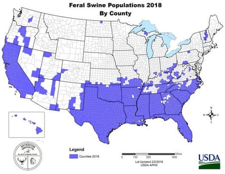 US feral swine populations in 2018.
