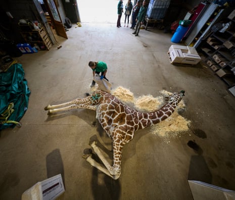 Bashu is prepared for a postmortem examination