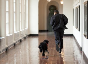 Bo the dog runs down the East Colonnade