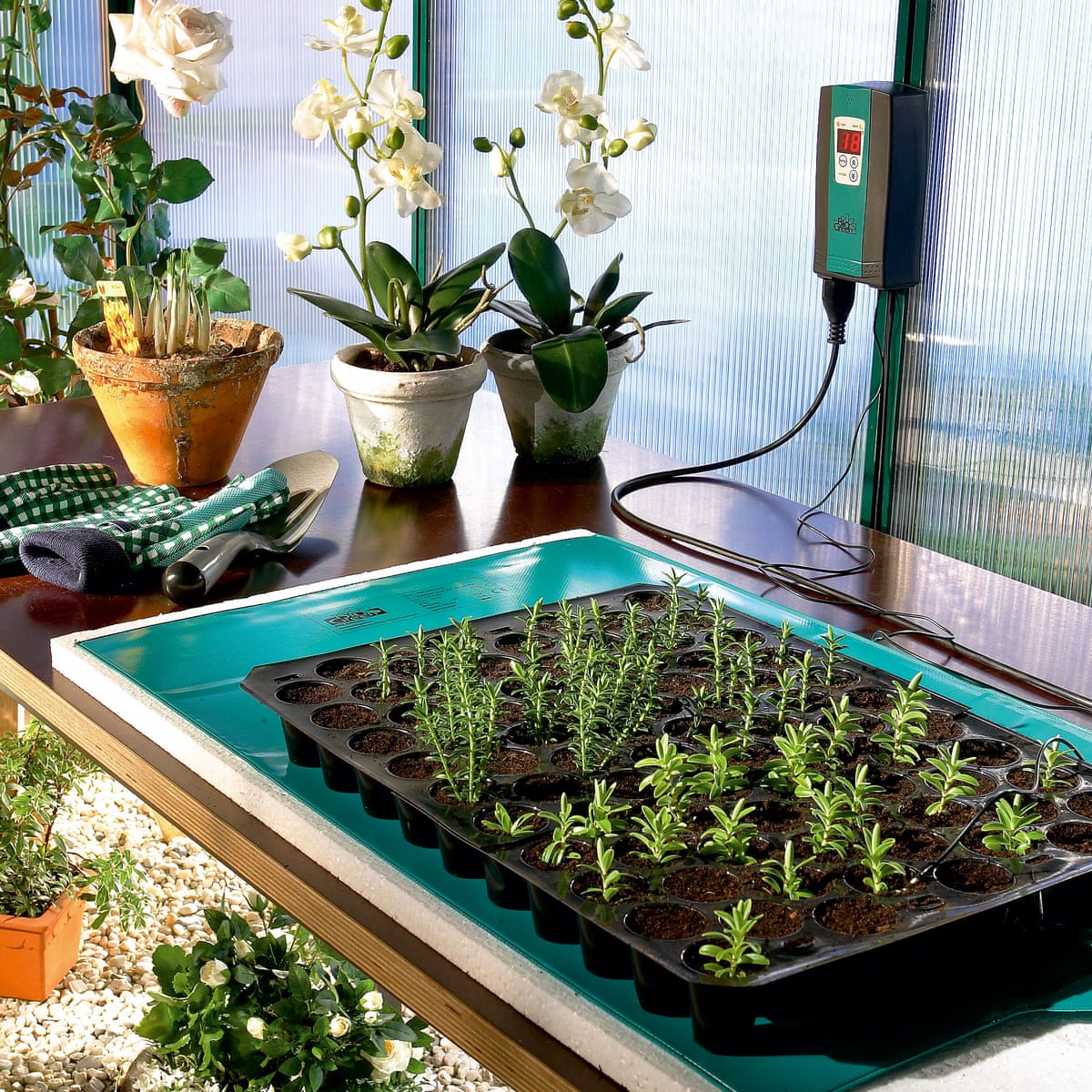 Use Warming Mats To Heat Your Seeds Alys Fowler Life And Style The Guardian