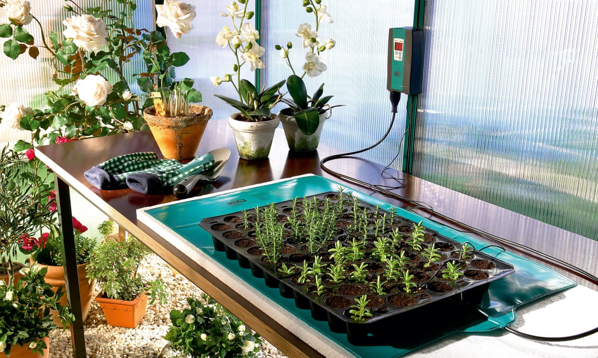 Use warming mats to heat your seeds, Gardening advice