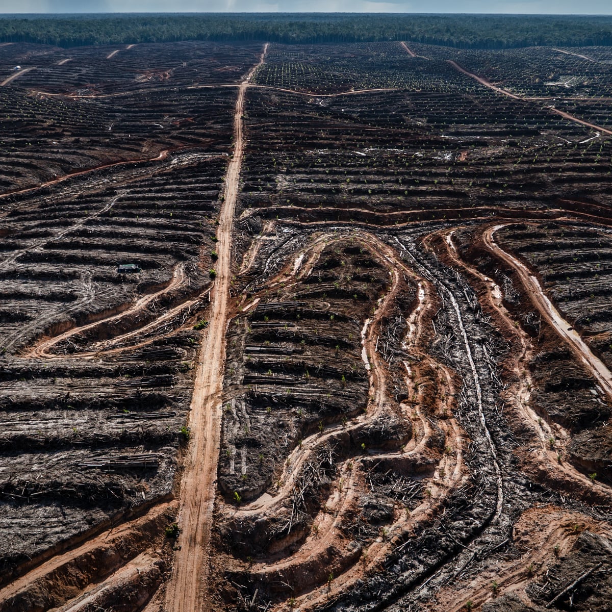 Human Society Under Urgent Threat From Loss Of Earth S Natural