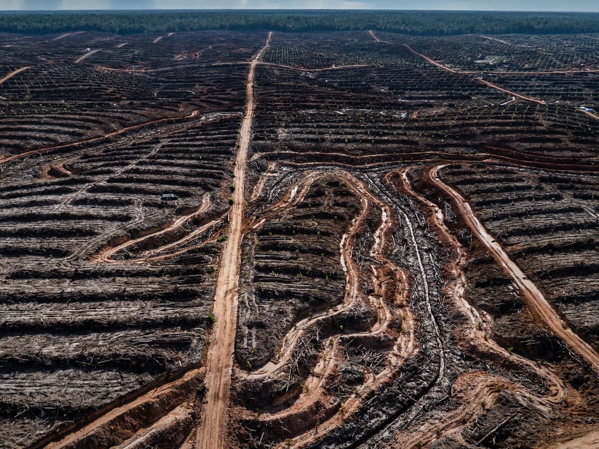 Human society under urgent threat from loss of Earth's natural life | Biodiversity | The Guardian Human society under urgent threat from loss of Earth's natural life | Biodiversity | The Guardian