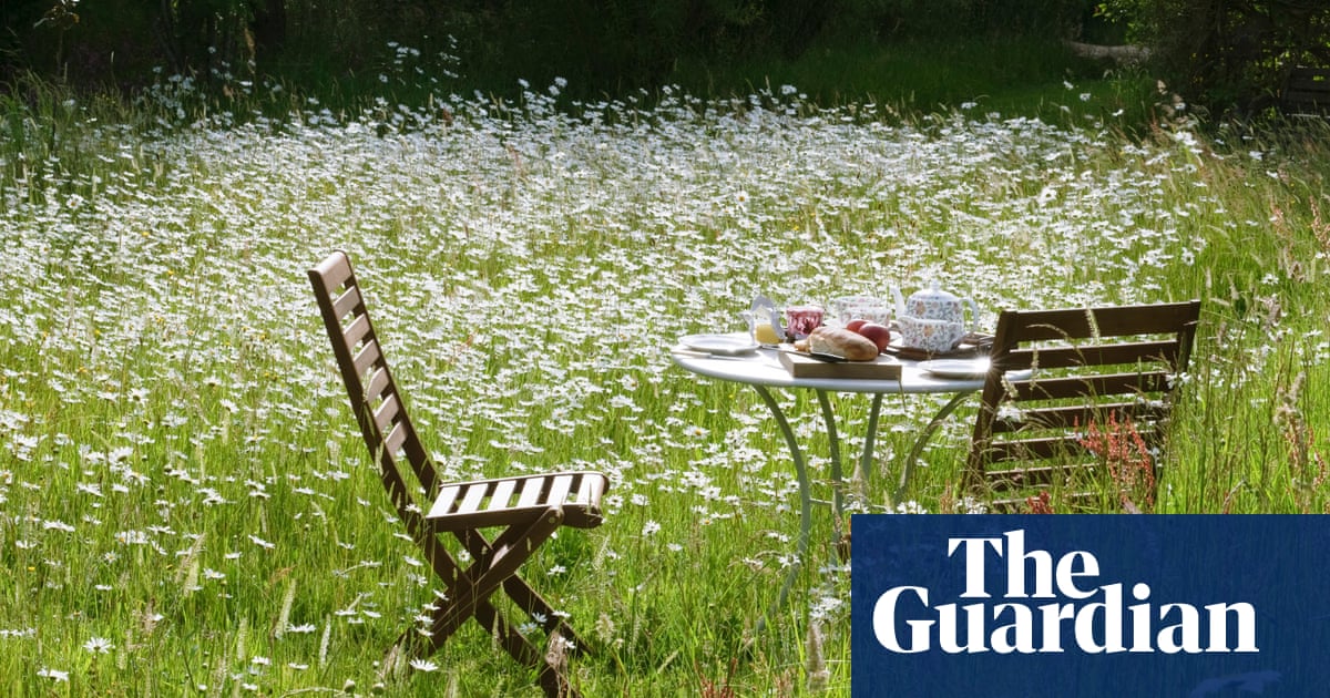 Don’t even think about decking! How to create a nature-friendly low-maintenance garden