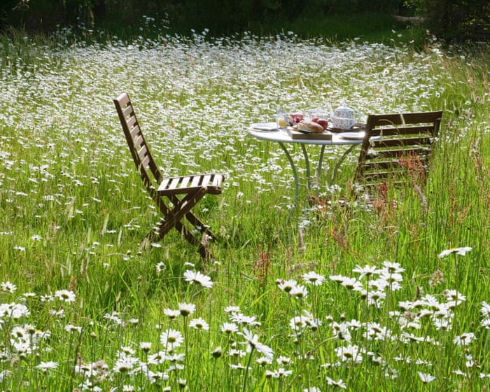 Don’t even think about decking! How to create a nature-friendly low-maintenance garden