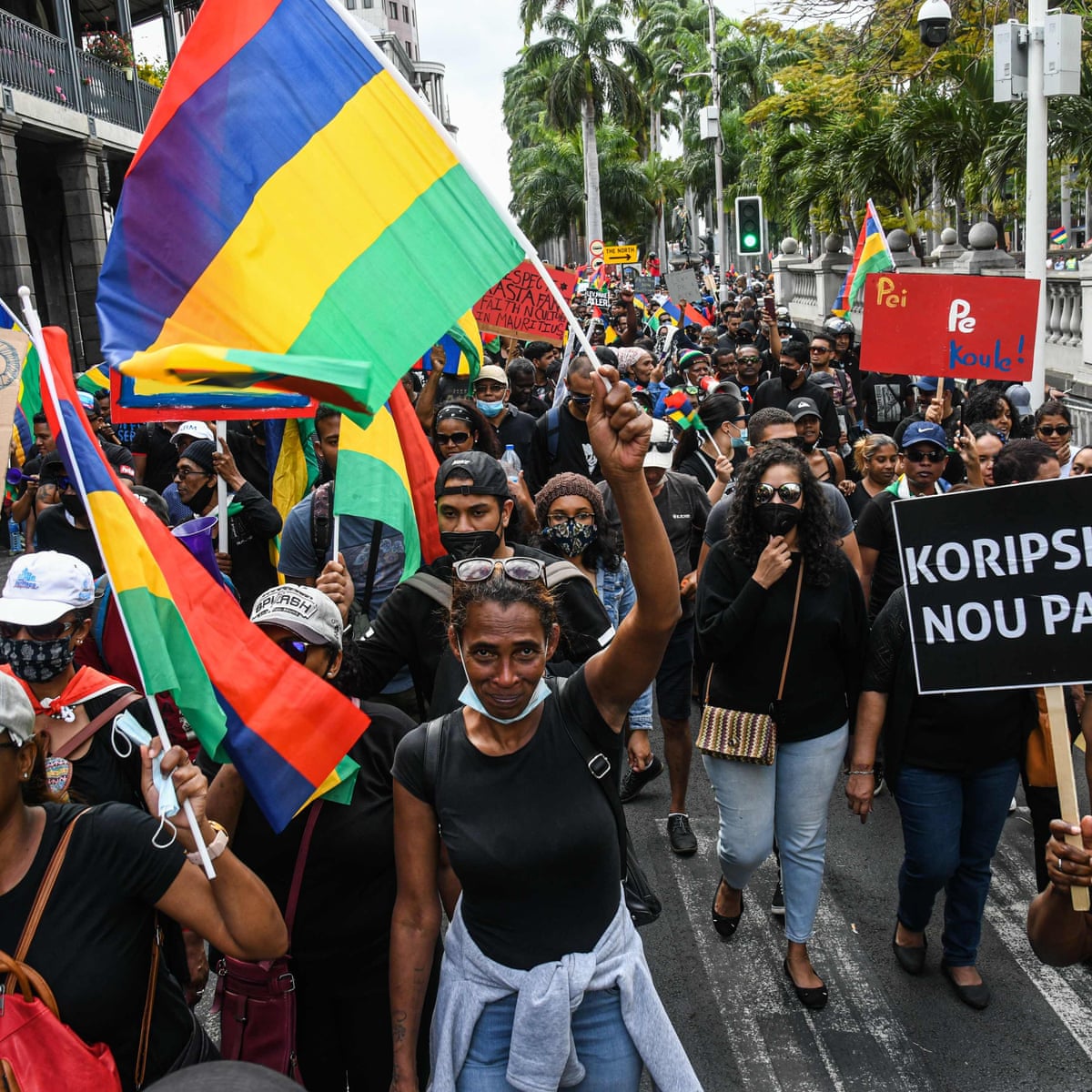 Thousands protest in Mauritius over dolphin deaths after oil spill | World news | The Guardian