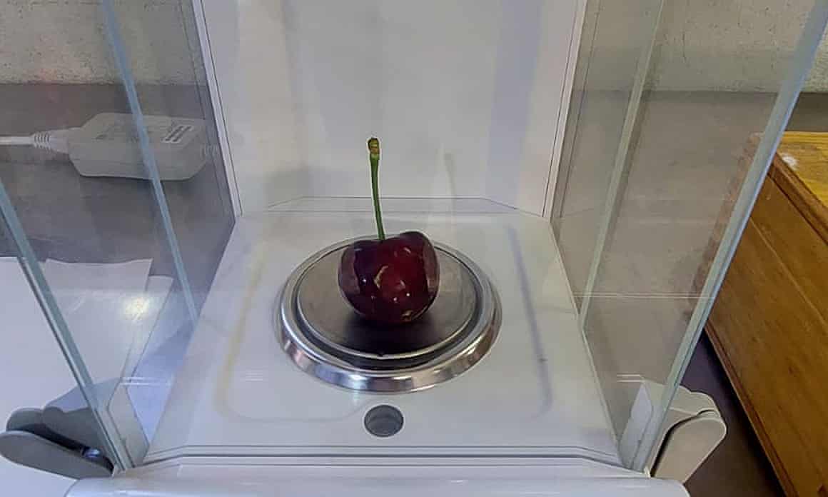 The world’s largest cherry.