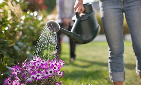 Woman watering flowers in garden with watering can