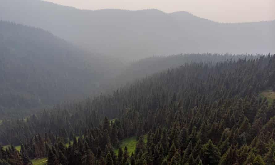 Wildfire smoke covers North Cascade mountains of Washington, Glacier, USA - 01 Aug 2021Mandatory Credit: Photo by Gregg Brekke/ZUMA Press Wire/REX/Shutterstock (12242977a) Wildfire smoke shrouds the landscape in the North Cascade mountains near the Mount Baker Wilderness in northern Washington. Dry weather and mild winds have pushed smoke from several large fires in central and eastern Washington to the west of the state. Wildfire smoke covers North Cascade mountains of Washington, Glacier, USA - 01 Aug 2021