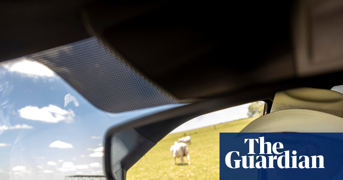 Farm workers at high risk amid screwworm outbreak in US south-west