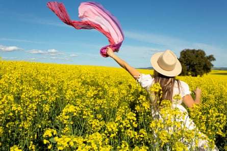 Canola field selfies: Australian farmers warn tourists against ‘dangerous’ social media trend | Farming