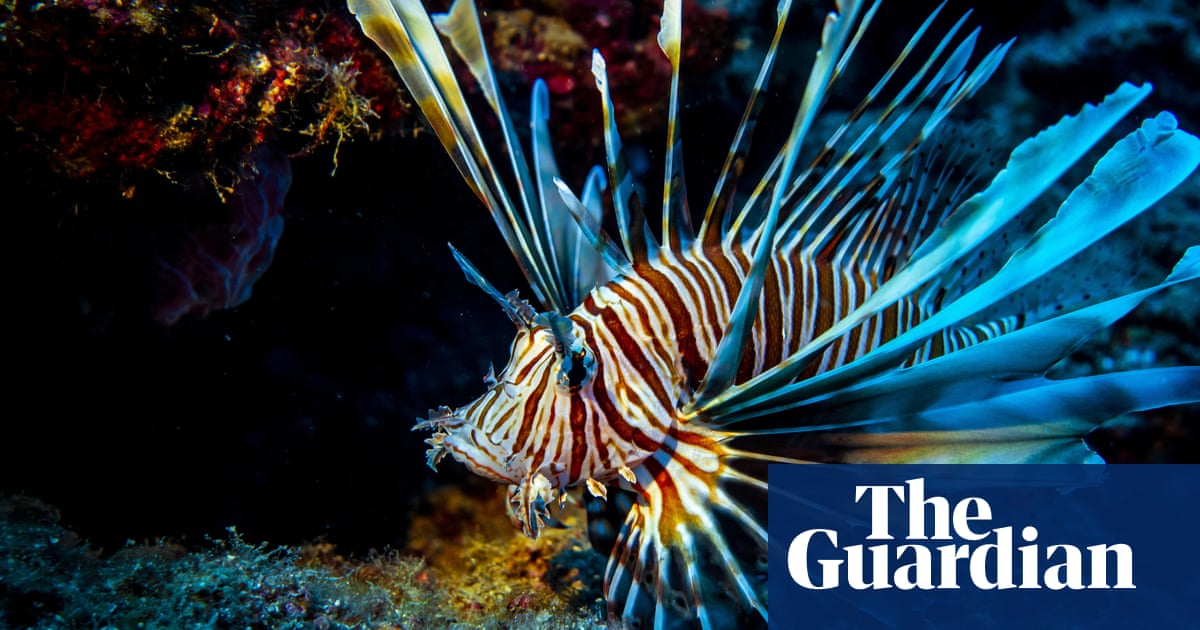 5472.jpg?width=1200&height=630&quality=8