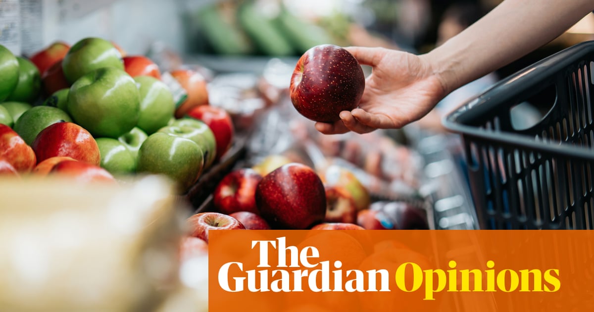 The way to tackle obesity in the UK is to make healthy food affordable. But the government won’t admit it | Zoe Williams The way to tackle obesity in the UK is to make healthy food affordable. But the government won’t admit it | Zoe Williams