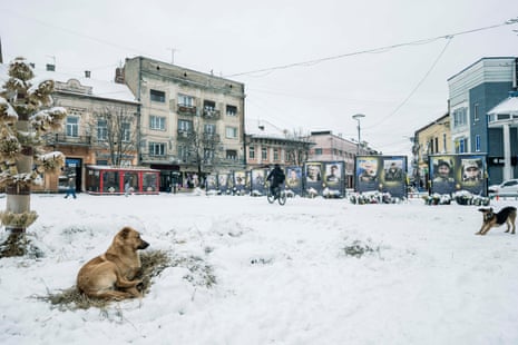 Boards carrying large photographs of faces with text underneath stand in a snowy street. A dog sits on the ground, another dog stretches to the right. One walker and one cyclist are the only people visible