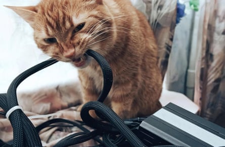 Cubiertas de cables Secbolt para cubiertas de cables para mascotas
