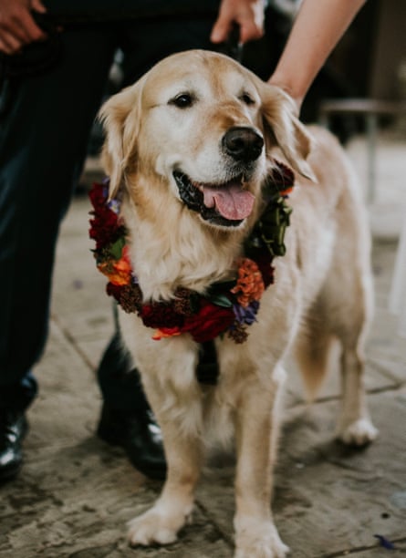 Otto with a garland of flowers around his neck