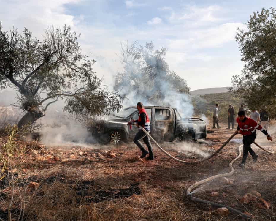 Olives stolen on unprecedented scale